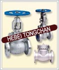 Cast steel valves
